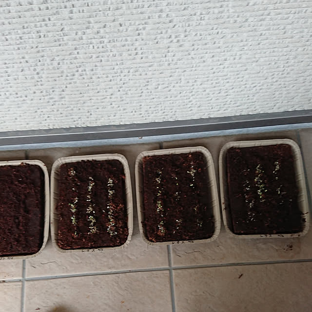 junaさんの実例写真
