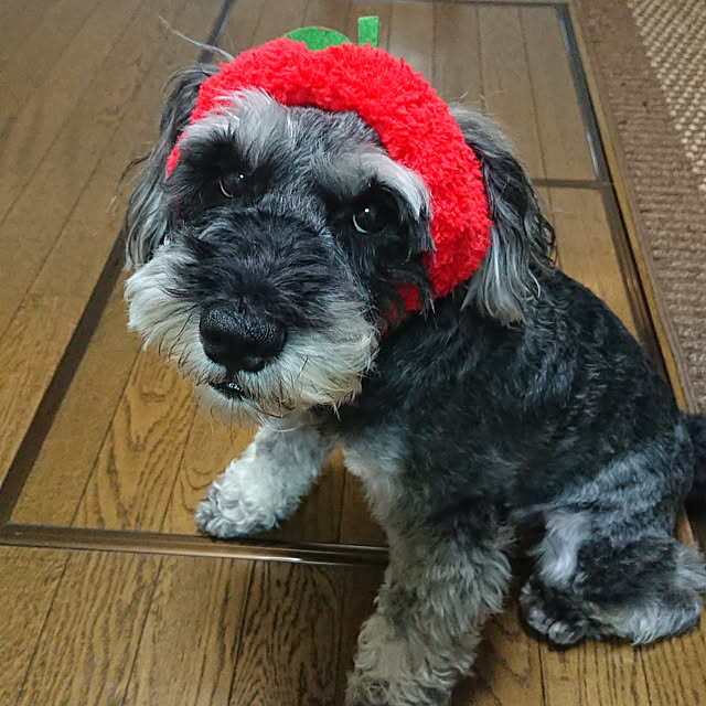 totty1203さんの実例写真