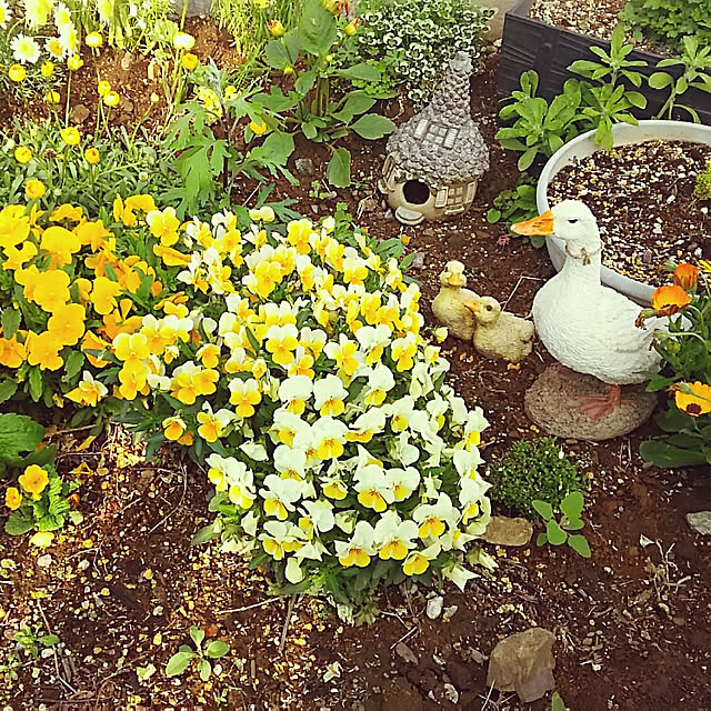 sunflowerさんの実例写真