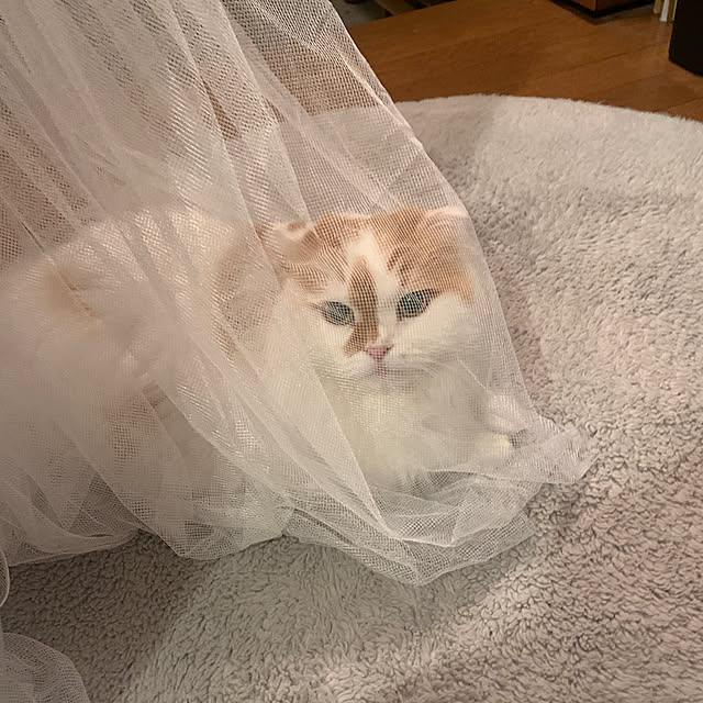 keiさんの実例写真