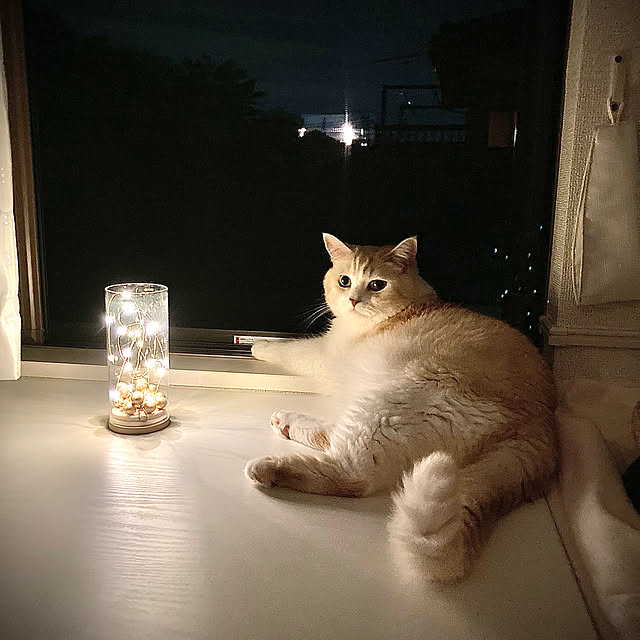 H.Tさんの実例写真