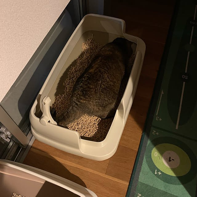 marikoさんの実例写真