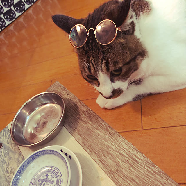 jijiさんの実例写真