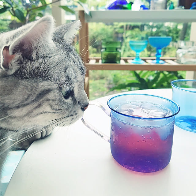 asmaさんの実例写真