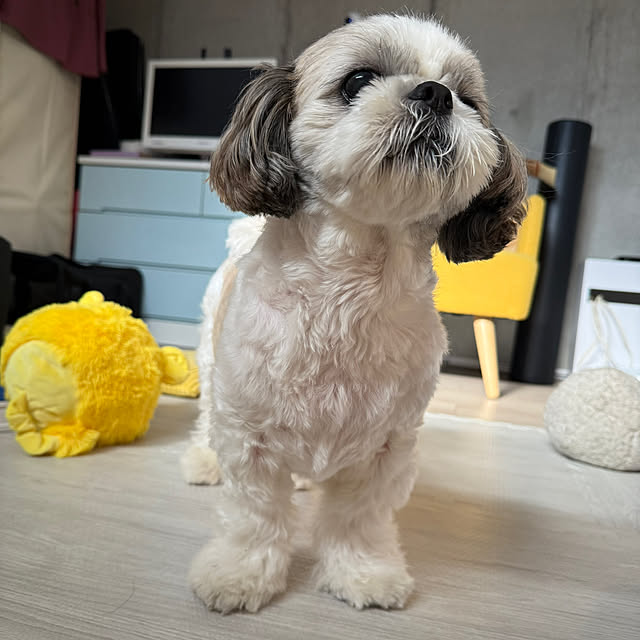 Taekoさんの部屋