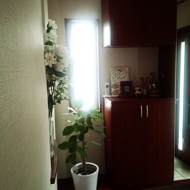 chinonさんの実例写真