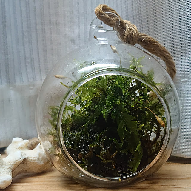 Makiさんの実例写真