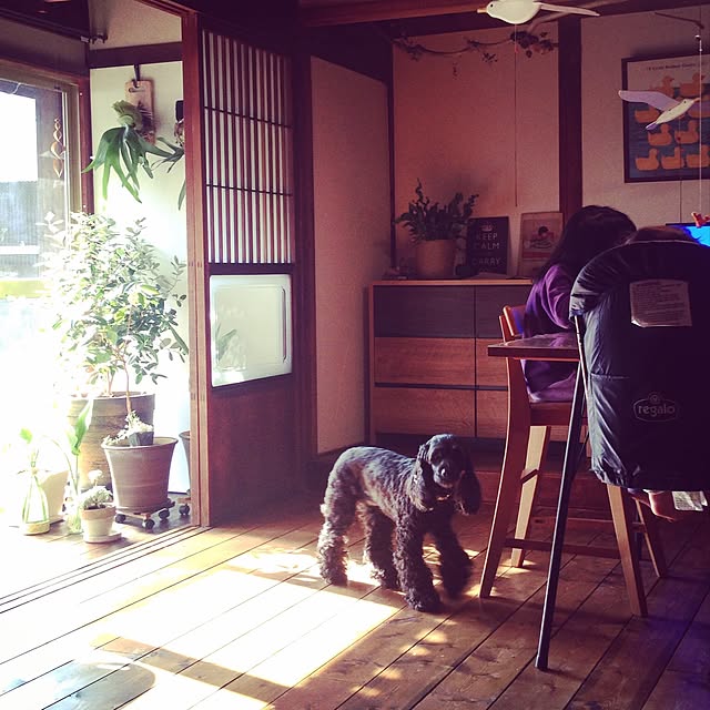 実例写真