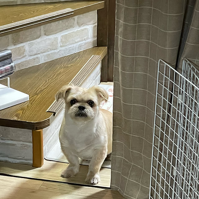 Kammiさんの実例写真