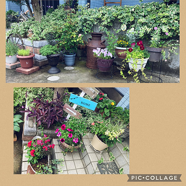 CoCo0617さんの部屋