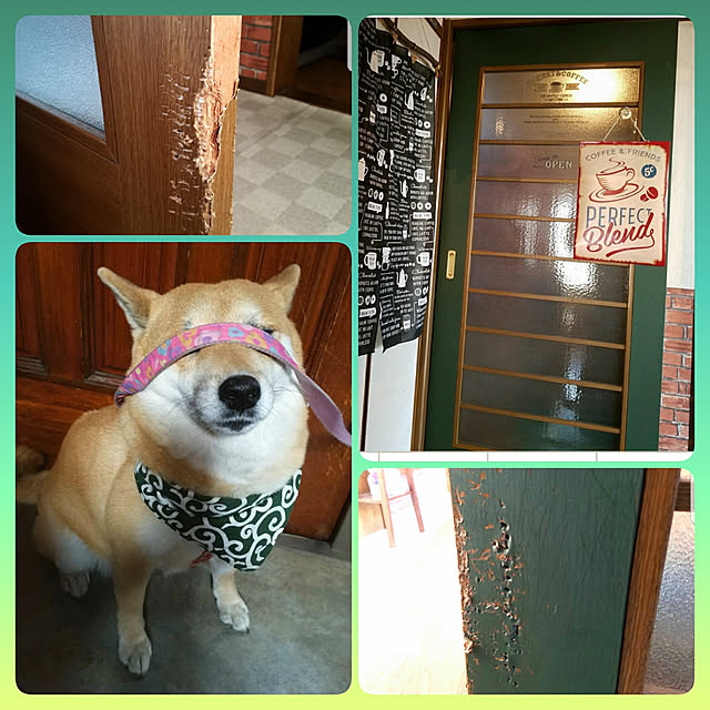 nanaさんの実例写真