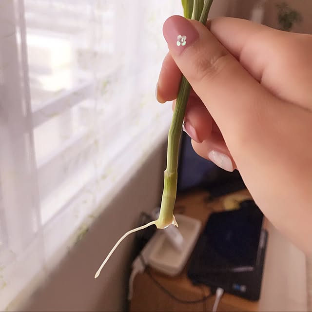 mimiさんの実例写真