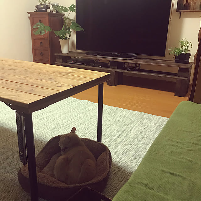 mikan161さんの実例写真