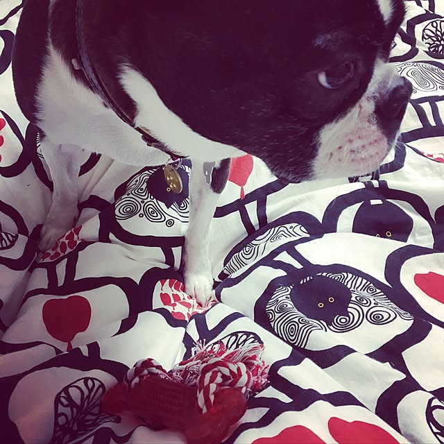 Ayaさんの実例写真