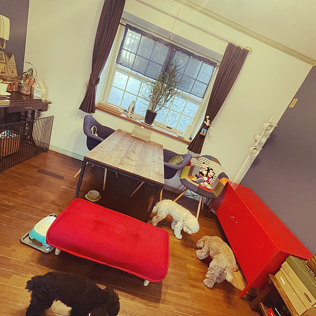 部屋全体のインテリア実例 - 2022-12-16 14:44:47