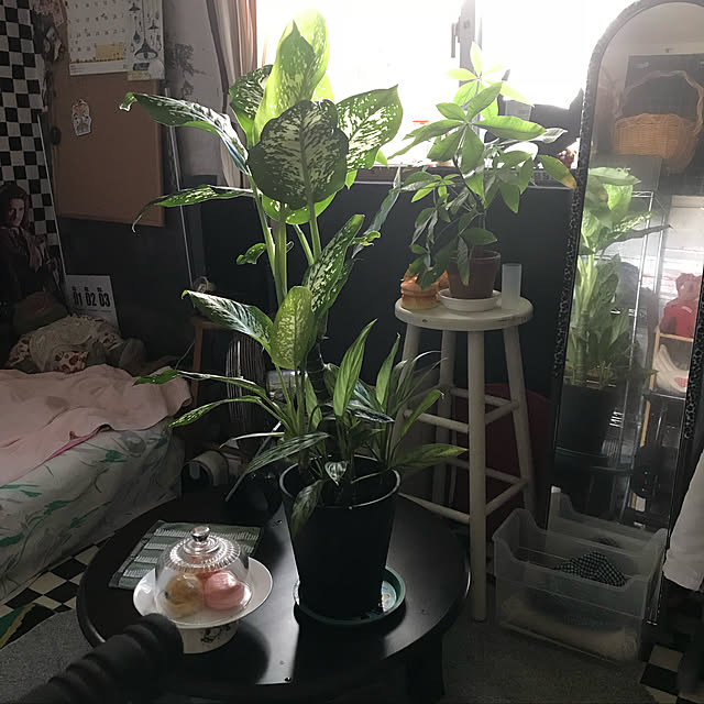 775さんの実例写真