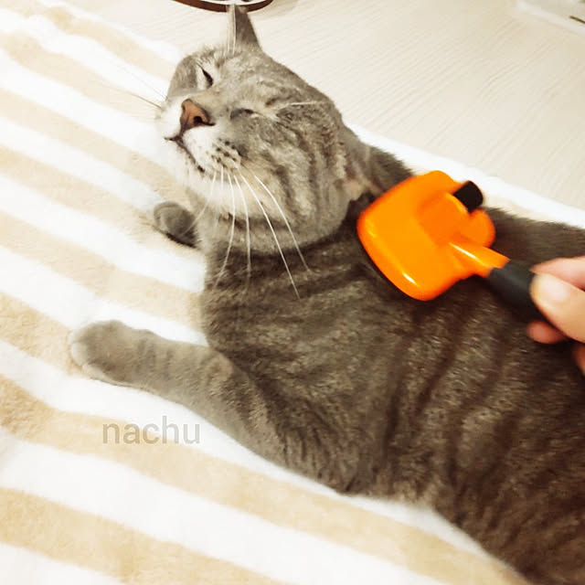 nachuさんの実例写真