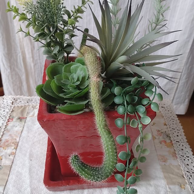 Hujikoさんの実例写真