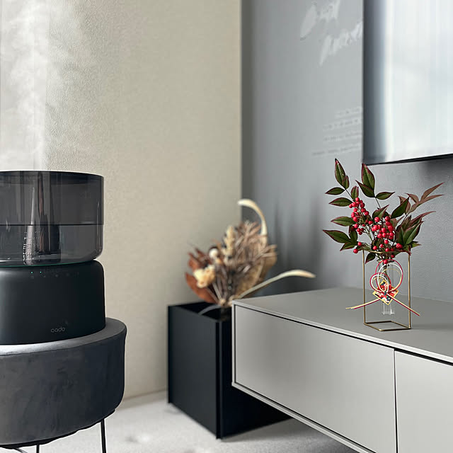 kt._homeさんの実例写真