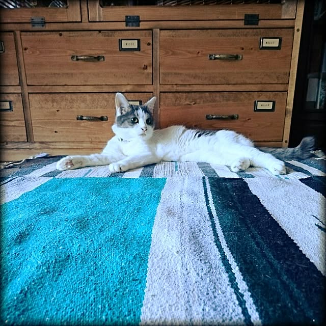 Lukiさんの実例写真