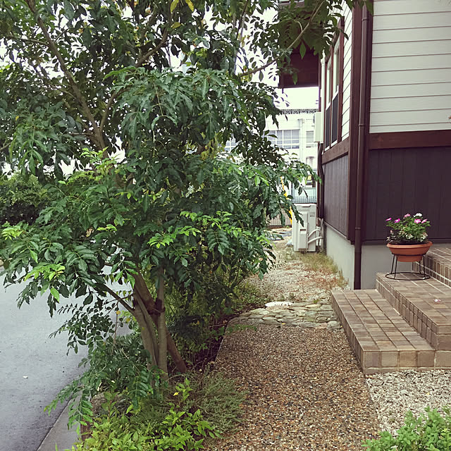 miyaさんの実例写真