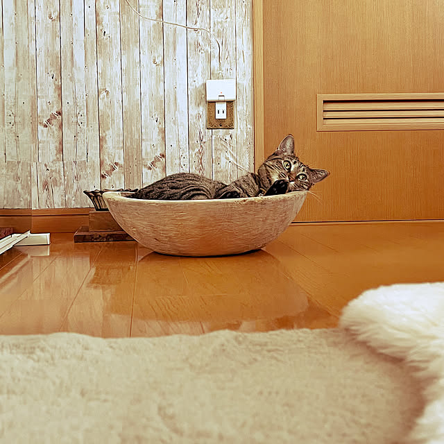 Mさんの実例写真