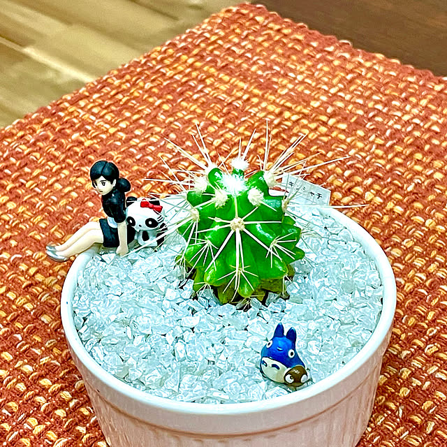 ikeyanさんの実例写真