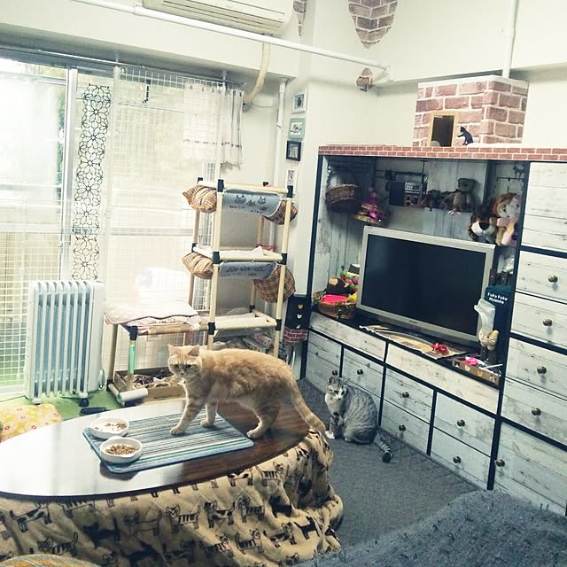 mntcさんの実例写真