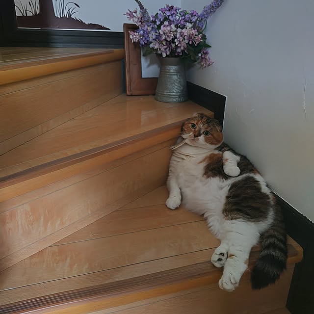 hiro3さんの部屋