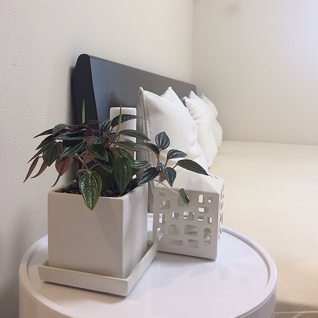 nanakoさんの実例写真