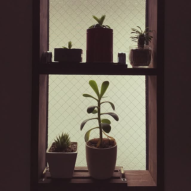 ecoさんの実例写真