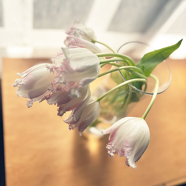 kukiharaさんの部屋