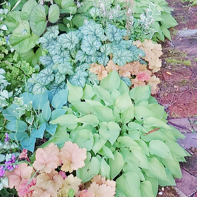 chi.e.ko.310310さんの実例写真