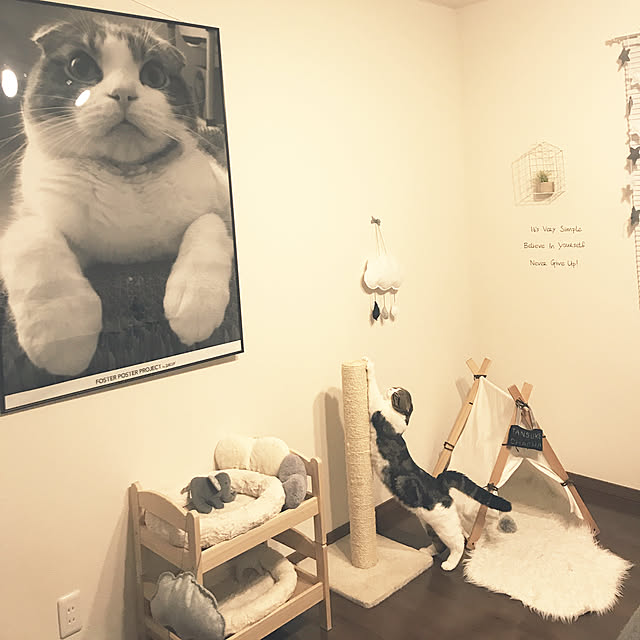 tansukeさんの実例写真