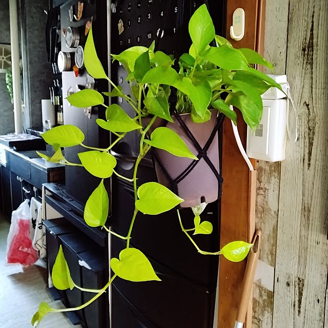 runaさんの部屋