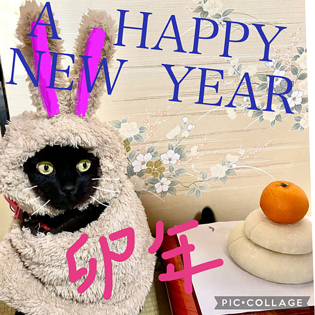 you-goさんの実例写真