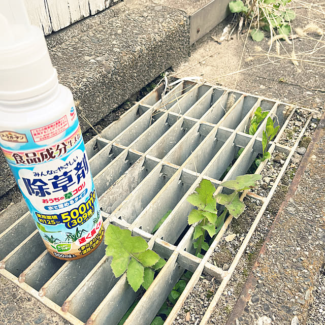 Hi5さんの部屋
