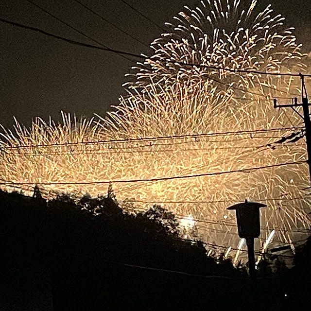 shin0719さんの実例写真