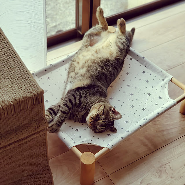 nonchanさんの実例写真