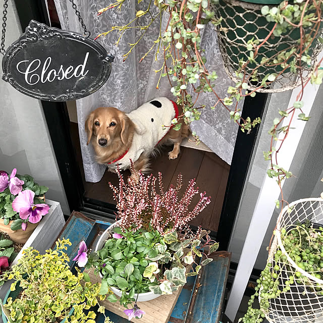 bibianさんの実例写真