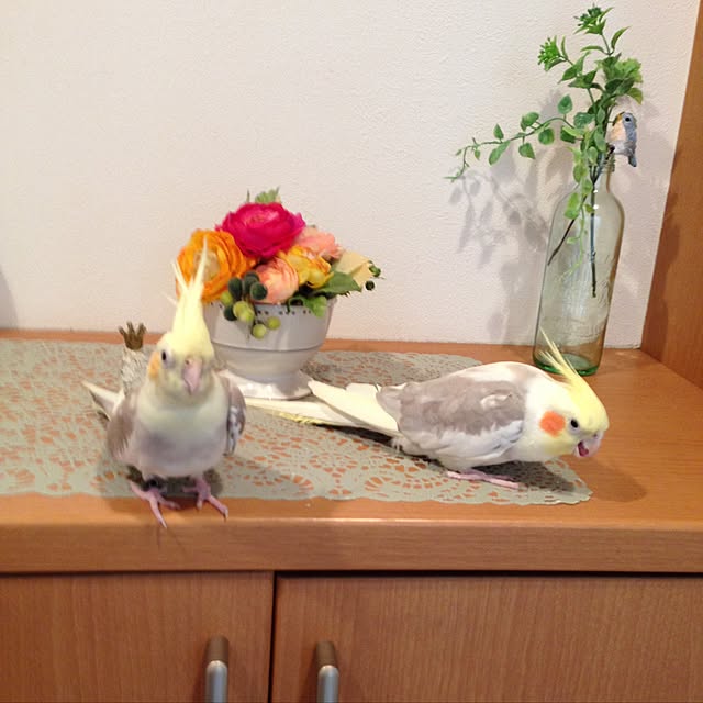puriyuzuさんの実例写真