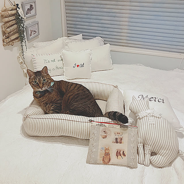 lovecatさんの実例写真