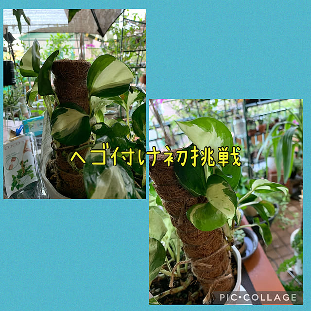 Aqettyさんの部屋
