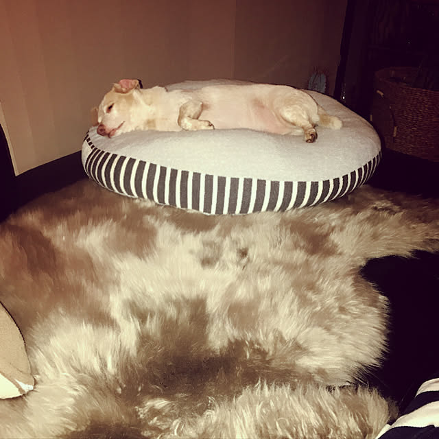 Risaさんの実例写真