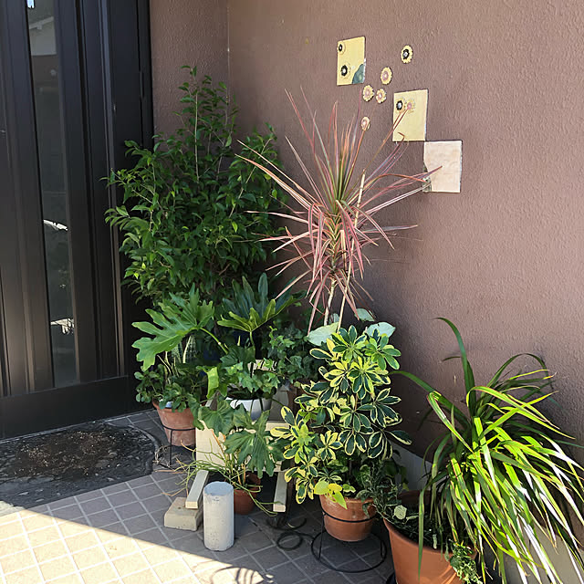 玄関/入り口のインテリア実例 - 2019-10-13 13:28:15