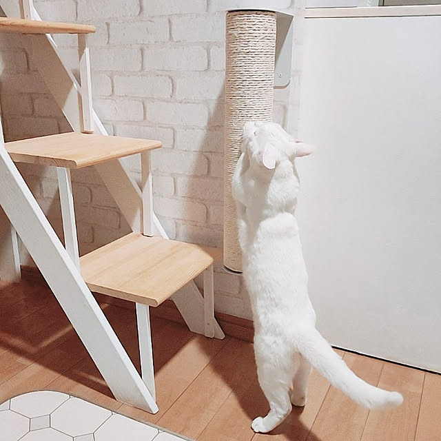kirakirahikaruさんの実例写真