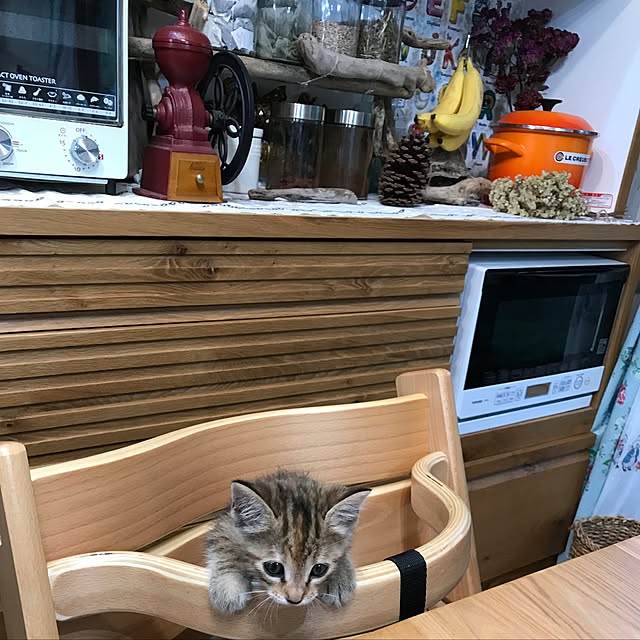 pepeさんの実例写真