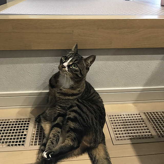 halemi213さんの実例写真