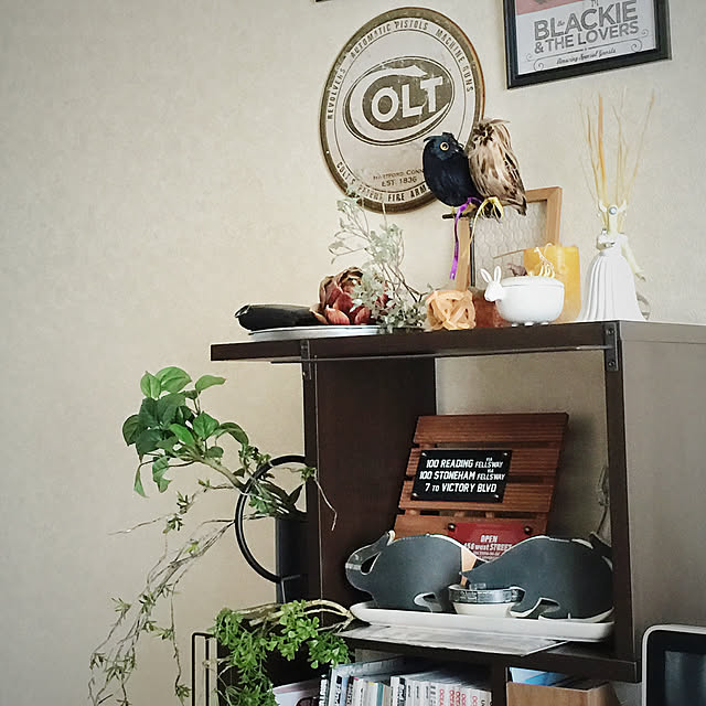 madam-Dさんの実例写真