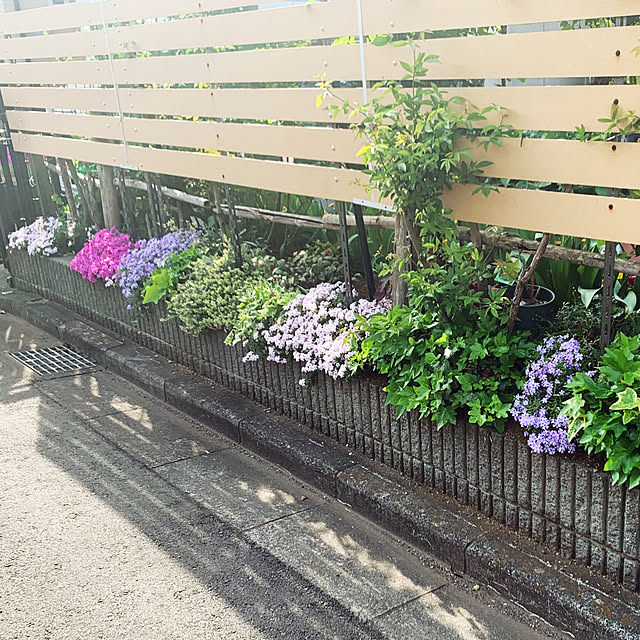 KYONさんの部屋